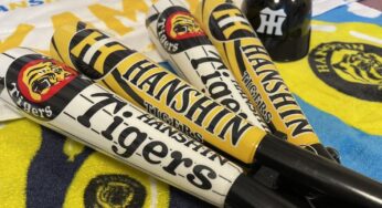 初めてのプロスポーツ観戦！甲子園への道！藤崎、トラコになるの巻！！（前編）