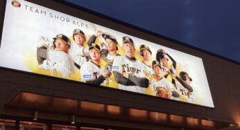 初めてのプロスポーツ観戦！甲子園への道！結果的にどうだった？！（後編）